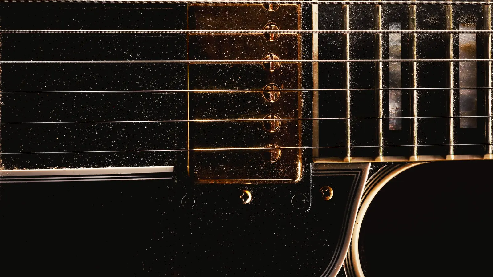 Close up of a guitar pickup