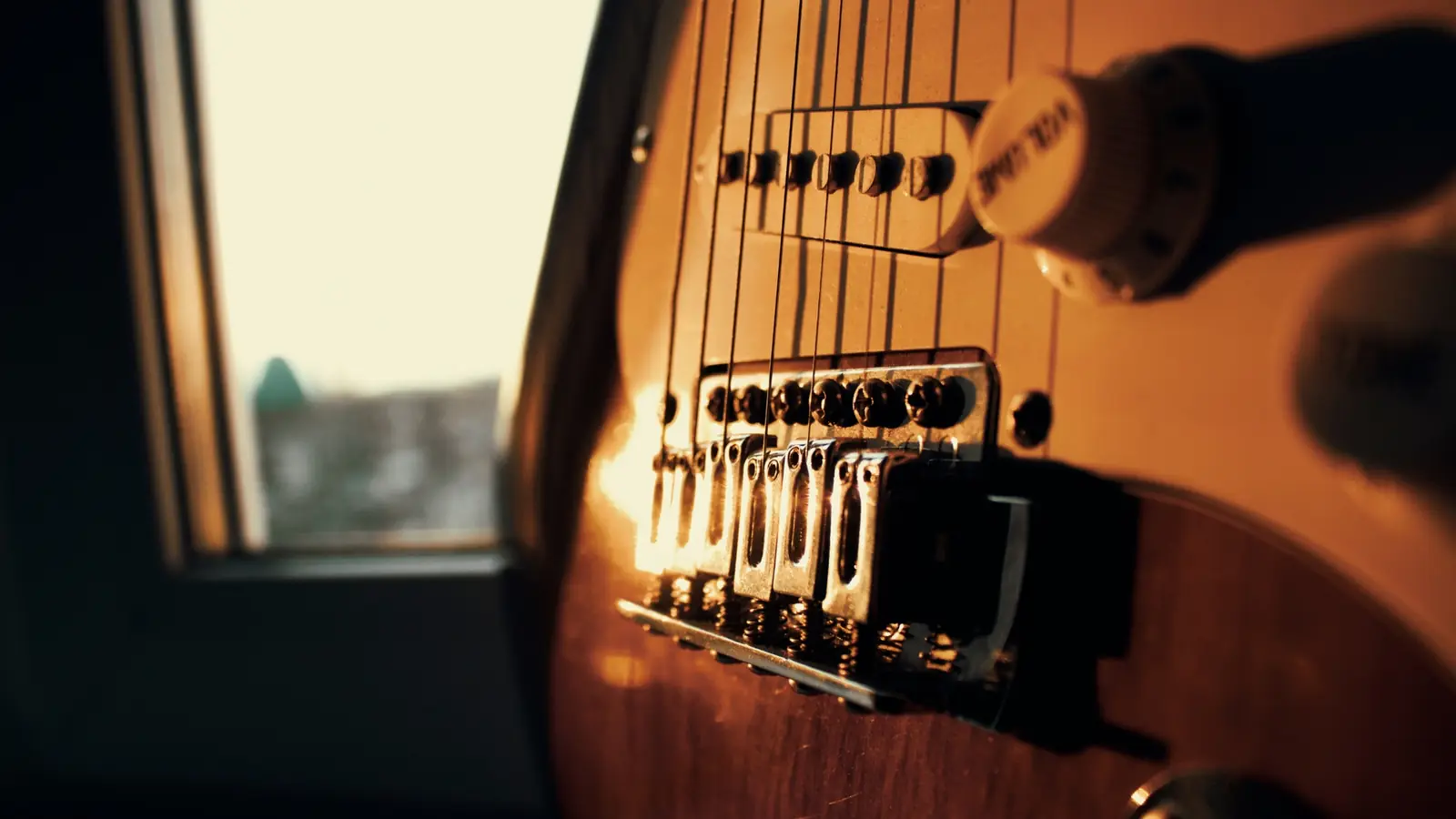 Guitar bridge and controls in window light